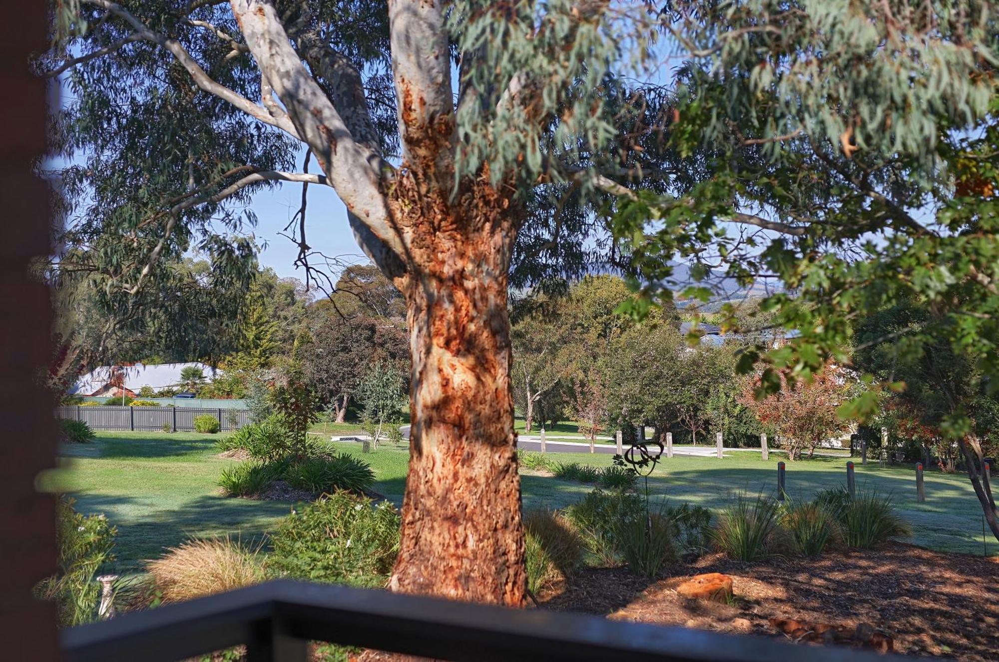 Yarra Gables Motel Healesville Eksteriør bilde